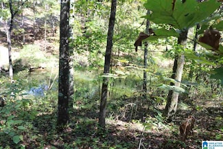42 Fisher Way Unit 42, Vincent, AL 35178