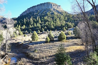 00 Cr 352, Chama, NM 87528