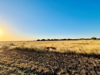 0 #1 Morningside Dr, Andrews, TX 79714