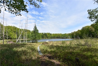 28713 100th St, Sampson, WI 54757