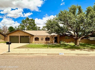 107 Rip St, Levelland, TX 79336