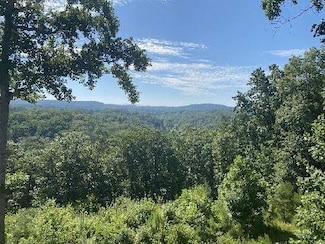000 Carters View Dr, Ellijay, GA 30540