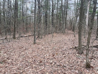 0 Welty Rd Unit LotWP003 23042126, Lindley, NY 14858