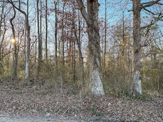 0 Tbd State Hwy Aa Unit 22400496, Naylor, MO 63953