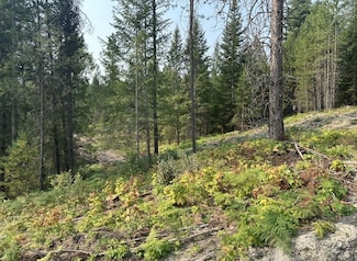 Nna Peninsula Loop, Priest River, ID 83856