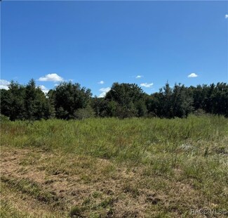 3966 E Bennett St, Inverness, FL 34453