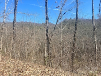 0 Towaliga Dr Unit 94 CAR4256205, Bryson City, NC 28713