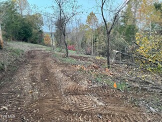lot 1 Turley Bridge Rd, Morristown, TN 37814