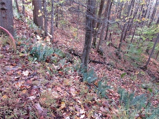 E- 15 Red Wolf Run None, Mars Hill, NC 28754