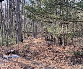 Lot 47 Hillside Ct, Delaware Township, PA 18328