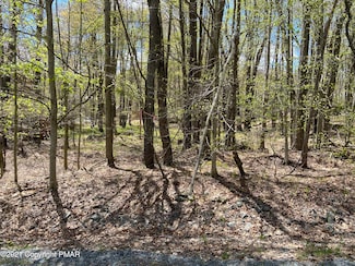 5 Trail, Pocono Lake, PA 18347