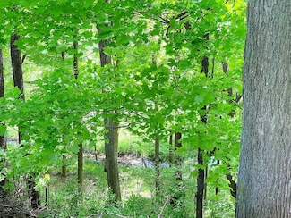 Lt2 Sylvan Dr, Manitowoc, WI 54220