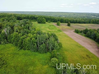 TBD102 Lower Pike River Rd, Chassell, MI 49916