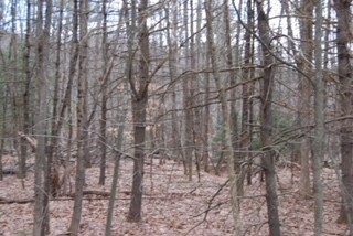 0 Strafford Rd, Barrington, NH 03825