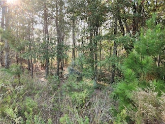 0 Dauphin Island Pkwy Unit 7684967, Coden, AL 36523