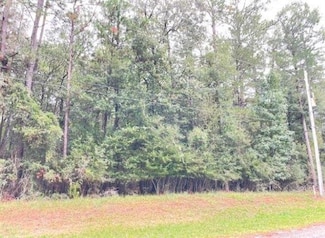 000 Holly Dr, Wildwood, TX 77663