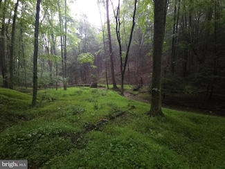0 Spriggle Hollow Rd, Saville Township, PA 17024
