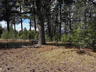 1483 Pine Lakes Ranch Dr, Cascade, ID 83611
