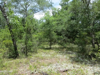 0000 Moss Hill Rd, Chipley, FL 32428