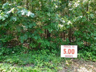 5 AC Neals Corner Rd, Clover, VA 24534