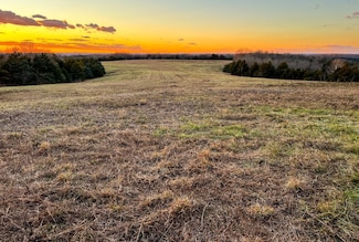 0 Tbd Cr 831 Unit 18974828, Gainesville, MO 65655