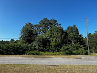 000 Hickman Ave, Elba, AL 36323