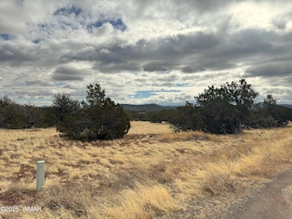 14 Cr 3340, Vernon, AZ 85940