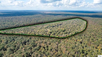 0 Sharkey Rd Unit 210+-acres, Newellton, LA 71357