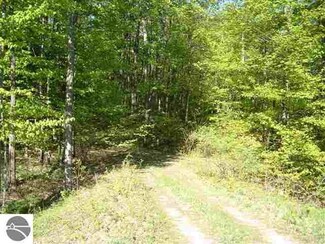 lot 3 S Peach Ridge Dr, Cedar, MI 49621