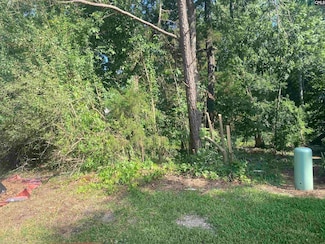 115 Beacon Point Rd, Lake Murray of Richland, SC 29063