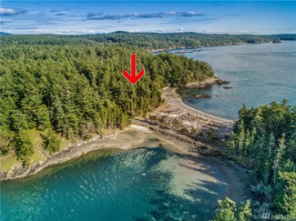 0 W Cameron Ln Unit 1264015, Shaw Island, WA 98286