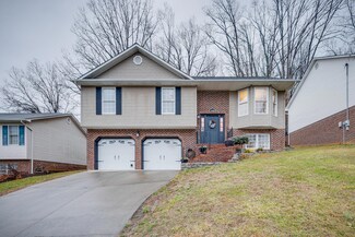 1028 Carrington Ct, Kingsport, TN 37660