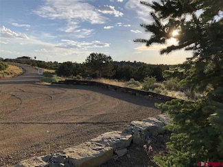16987 Road 28 8, Dolores, CO 81323