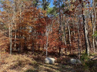0 Old Goshen Rd Unit 5020133, Conway, NH 03813