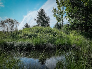 Lot 4 Nelson Rd, L'Anse, MI 49946