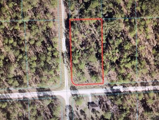 0 SW 81st St Unit MFROM681983, Dunnellon, FL 34431