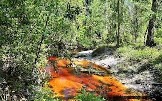 TBD W Cr 136 Rd, Live Oak, FL 32060