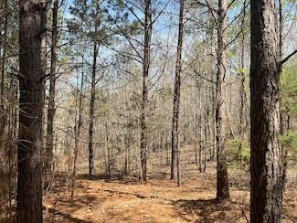 0 Unbridled Rd Unit 22 23074684, Rome, GA 30161