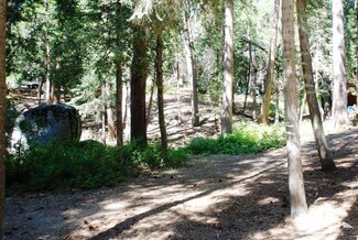 0 Sylvan Way Unit 217031814DA, Idyllwild, CA