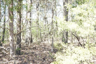 Lot 6 Stone Rd, Merriam Vlg, MO 65740