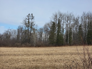 On Townline Rd, Ojibwa, WI 54862
