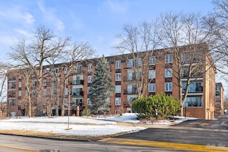 441 N Park Blvd Unit 1M, Glen Ellyn, IL 60137