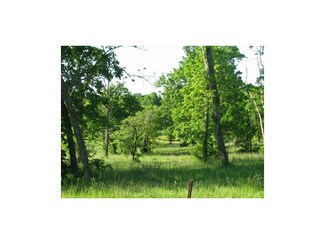 tract5 NW 800 Rd, Bates City, MO 64011