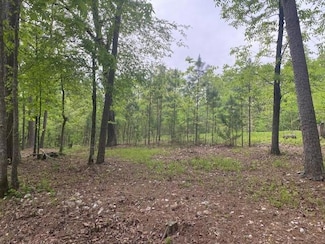 484 Chinook Rd, Hochatown, OK 74728