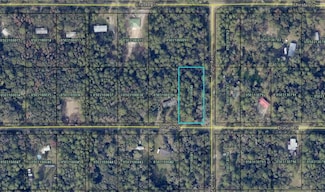 9715 Turpin Ave, Hastings, FL 32145