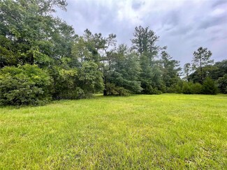 5515 SE 223 St, Hawthorne, FL 32640