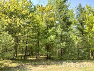 10431 Breezy R 22 Ln, Rapid River, MI 49878