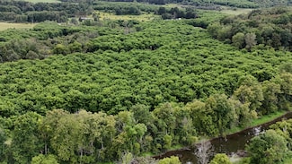 County Road 14, Earlville, NY 13332