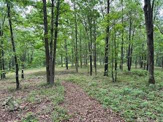 895 Ashwood Rd, Clinton, AR 72031