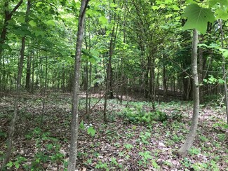 512 Wilderness Way, Dunlap, TN 37327
